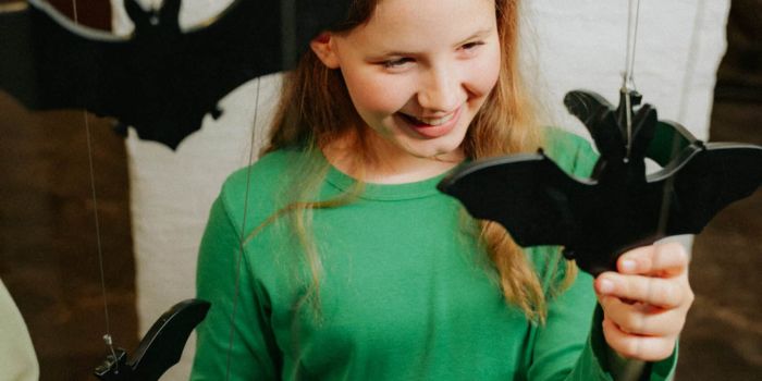 Fledermauskeller 2025 wach 12 scaled 12fa4f60