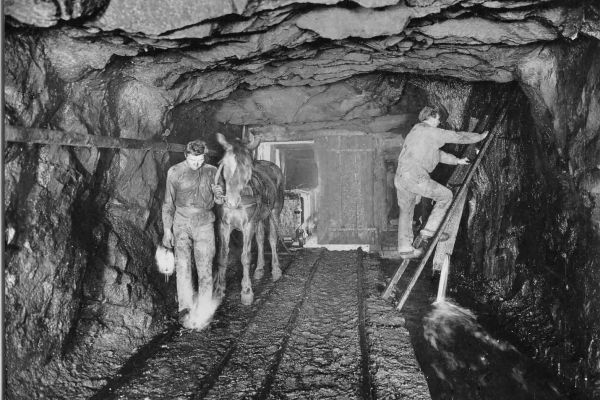 5 Grubenpferd vor Wettertu%CC%88r A. Wurm um1894 cedf45e3